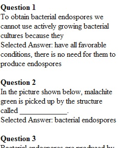 Lab Quiz 4